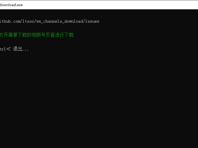 视频号下载工具